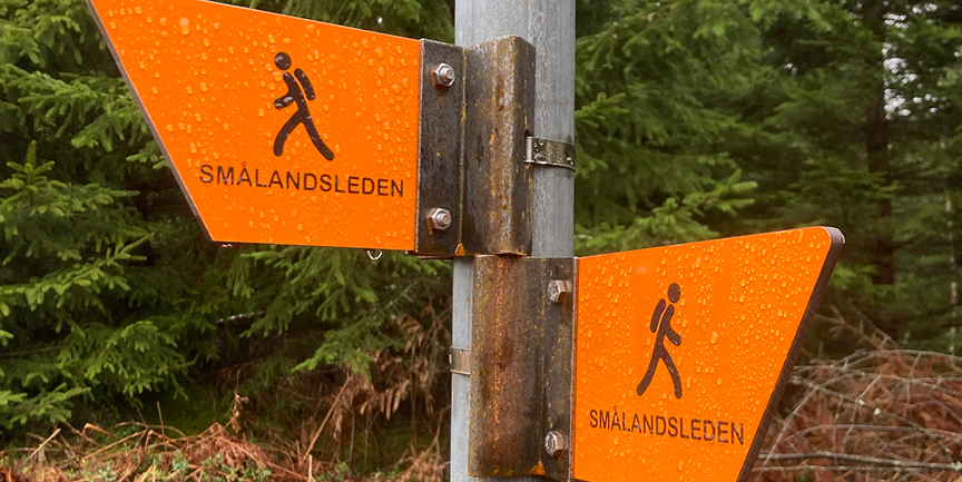 En person gungar i ett vindskydd i skogen