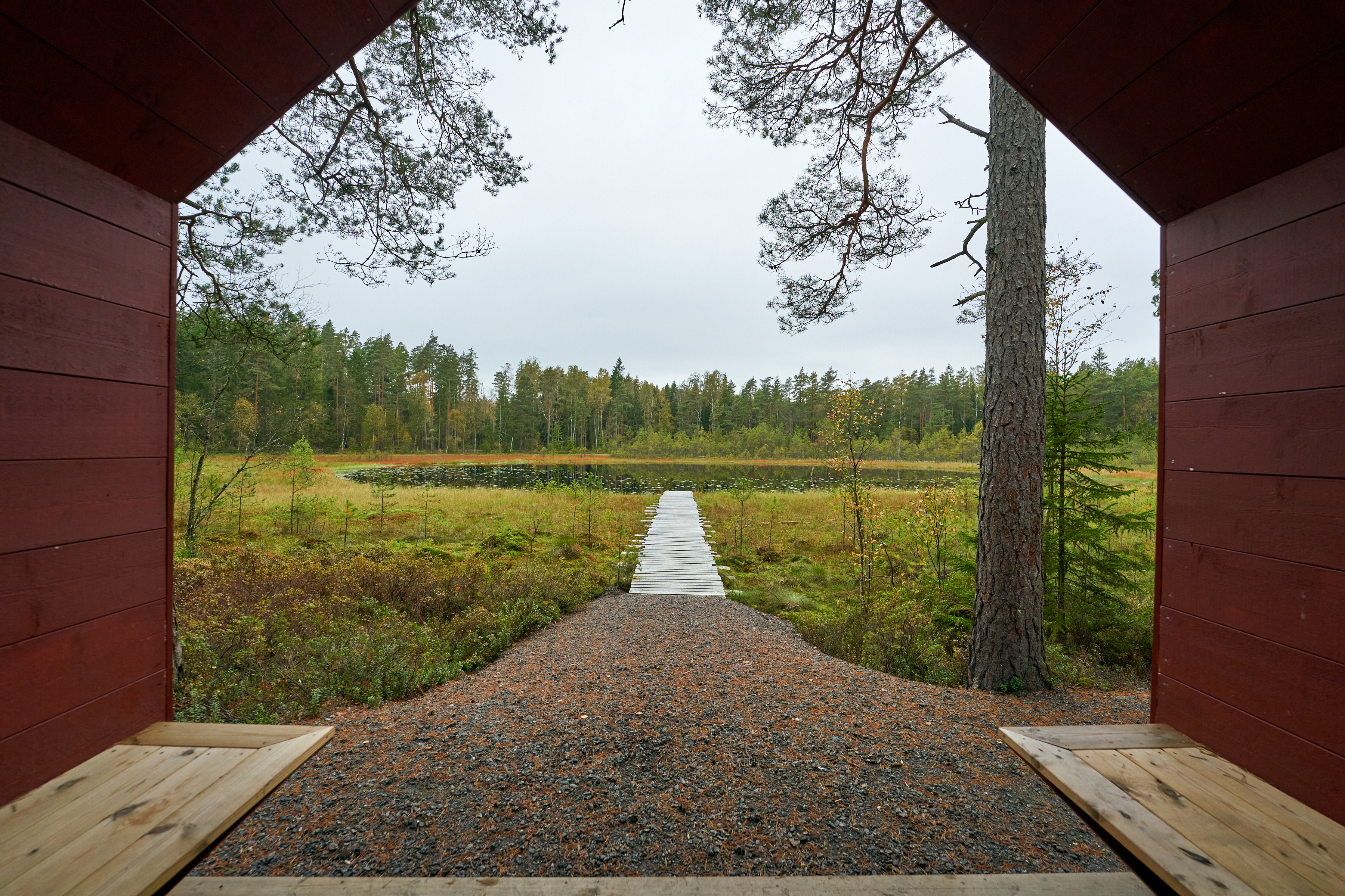Ett vindskydd vid en sjö i skogen